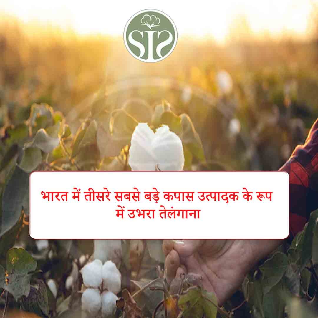 Telangana emerges as the third largest cotton producer in India