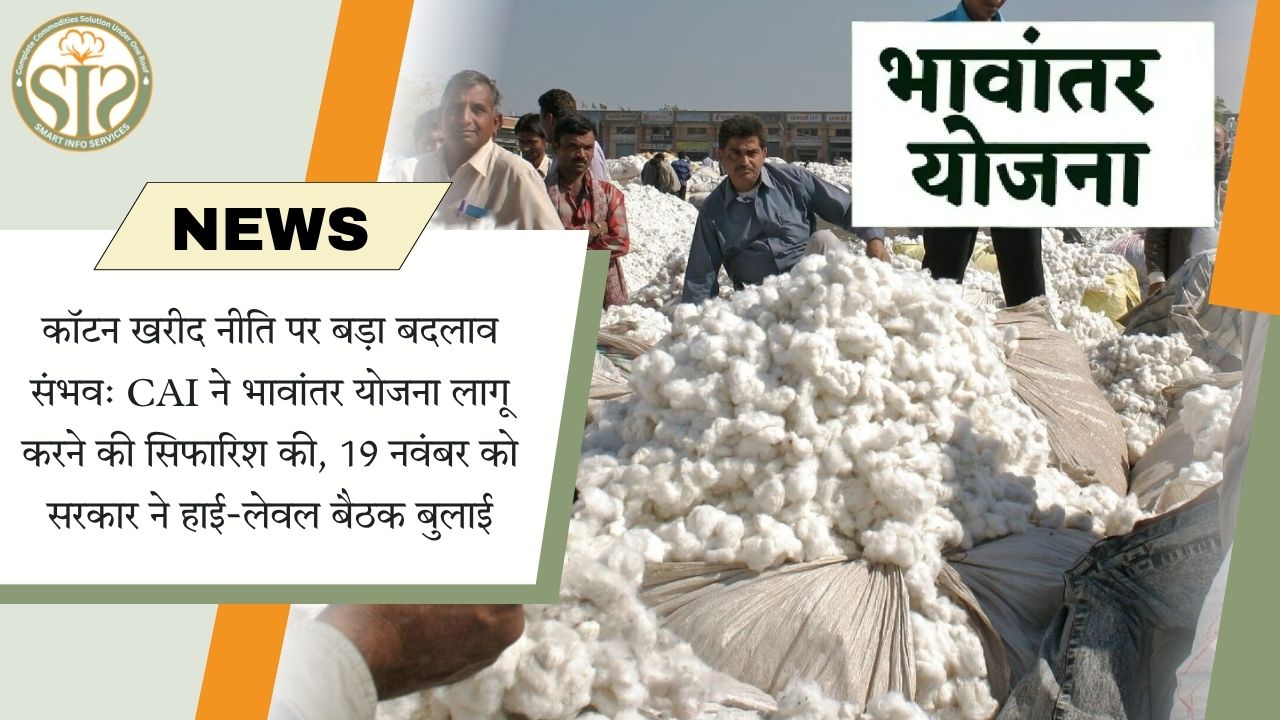कॉटन खरीद नीति में बड़ा बदलाव, CAI ने भावांतर योजना का सुझाव दिया