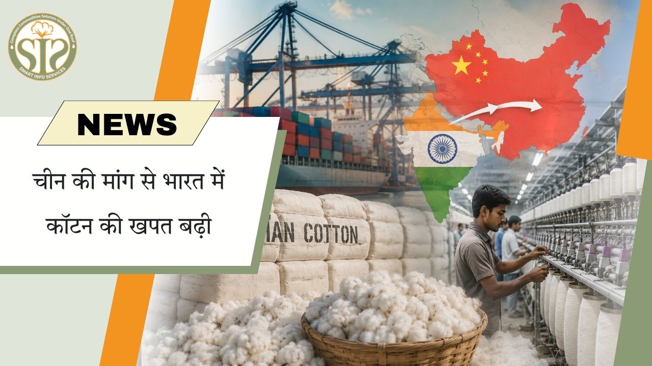 चीन की मांग से कपास खपत बढ़ी