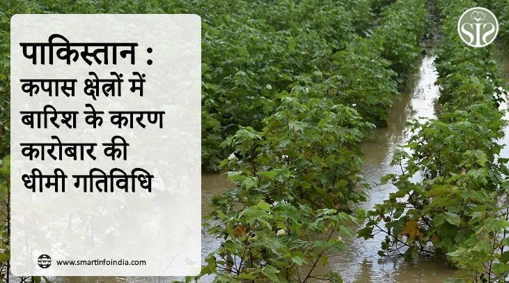 पाकिस्तान : कपास क्षेत्रों में बारिश के कारण कारोबार की धीमी गतिविधि