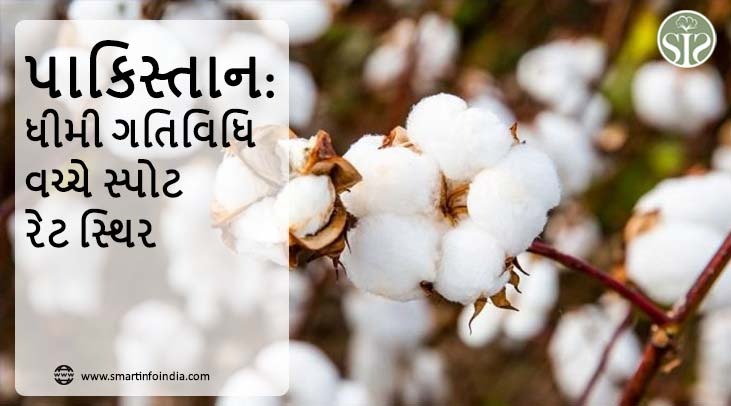 પાકિસ્તાન: ધીમી ગતિવિધિ વચ્ચે સ્પોટ રેટ સ્થિર