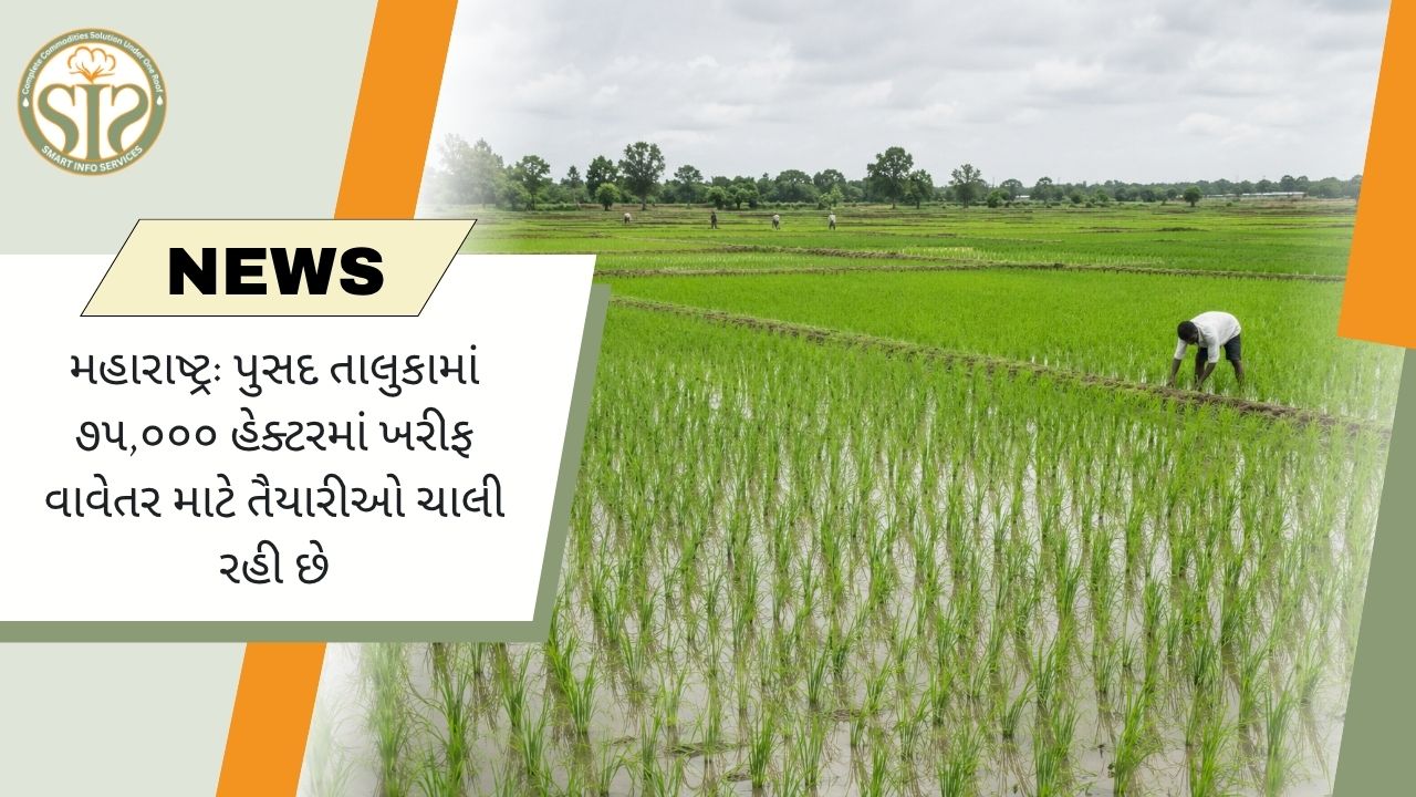 મહારાષ્ટ્ર: પુસાદમાં 75,000 હેક્ટરમાં ખરીફ વાવણીની તૈયારીઓ ચાલી રહી છે