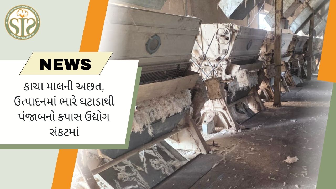 પંજાબના કપાસ ઉદ્યોગમાં કટોકટી: ઉત્પાદનમાં ઘટાડો