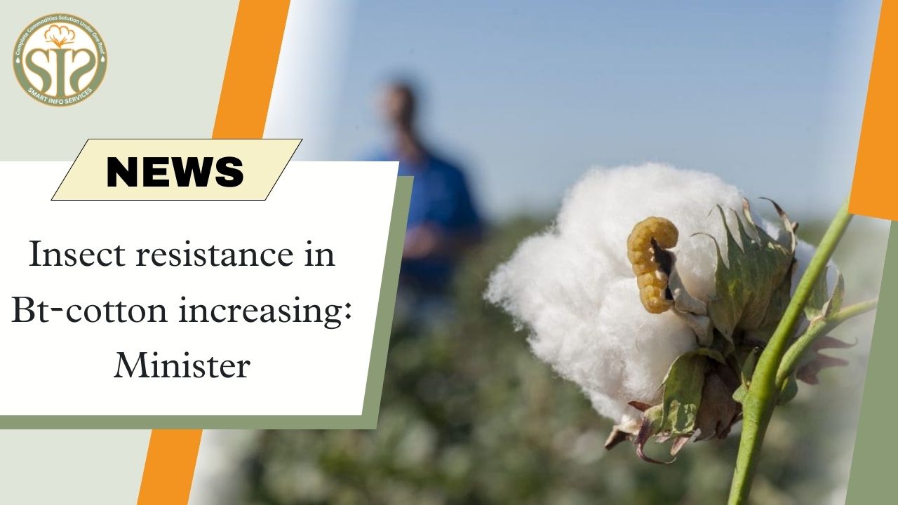Increasing impact of pests on BT cotton