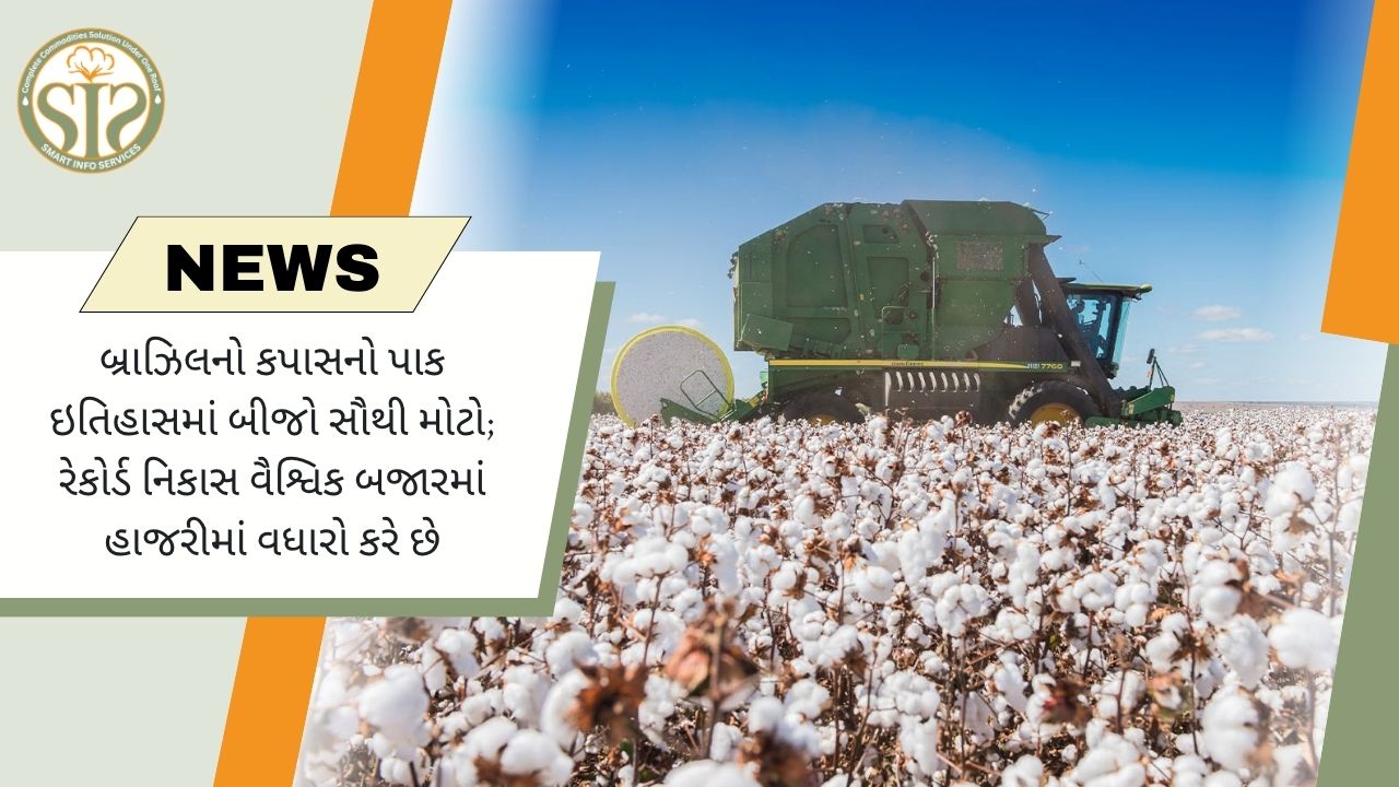 બ્રાઝિલનો કપાસ નિકાસ રેકોર્ડ પર