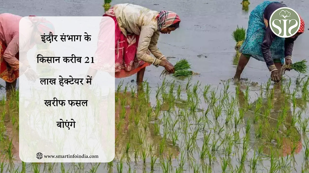 इंदौर संभाग के किसान करीब 21 लाख हेक्टेयर में खरीफ फसल बोएंगे