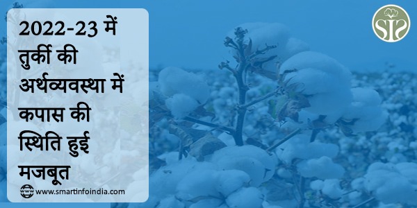 Cotton's position in Türkiye's economy strengthened in 2022-23