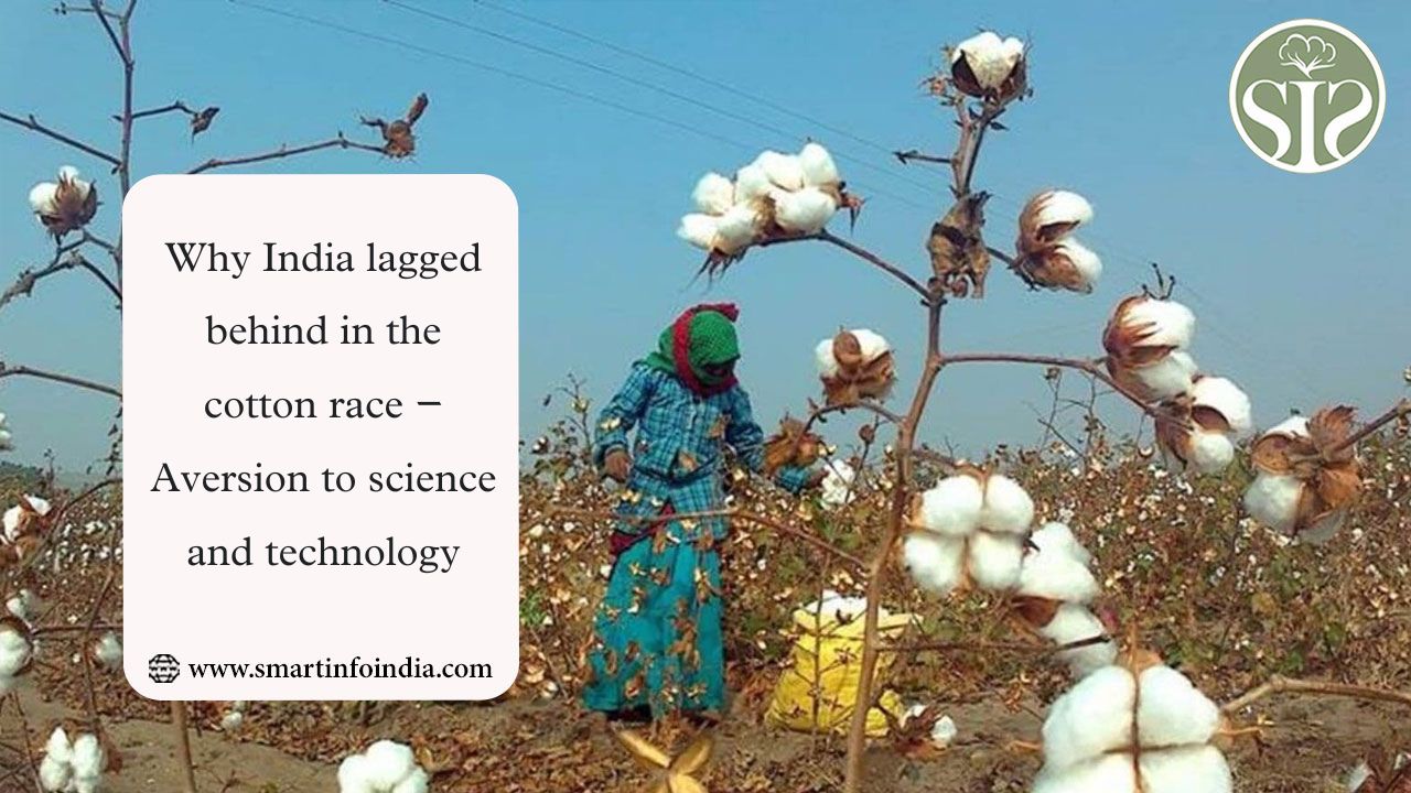 India's Cotton Industry Struggles: Aversion to Science & Technology