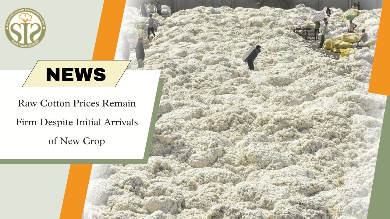 Raw Cotton Prices Stay Firm