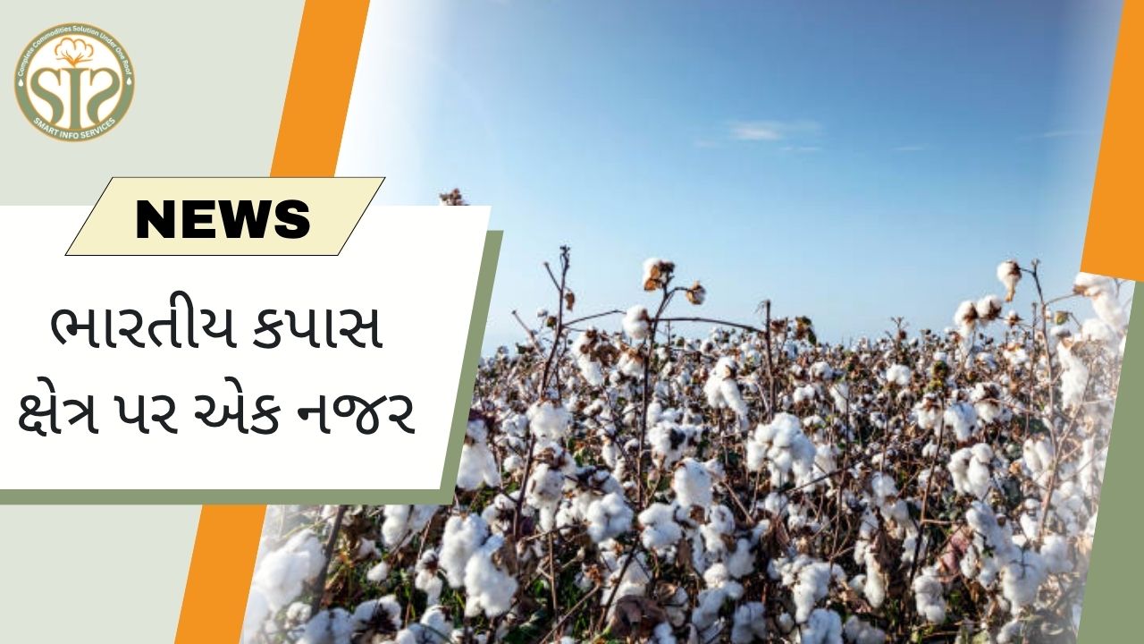 ભારતીય કપાસ ઉદ્યોગનું ચિત્ર