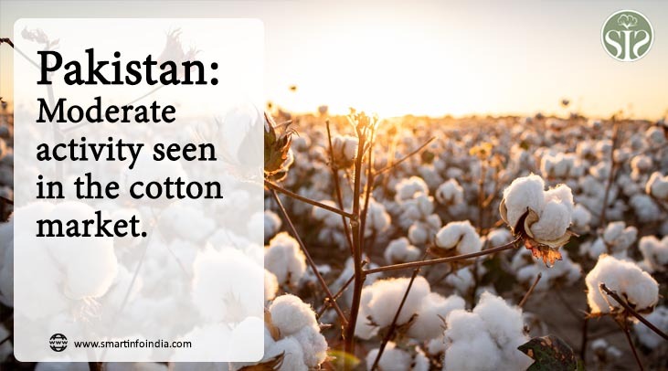 Pakistan: Considerable activity seen in the cotton market
