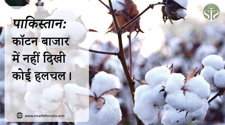 पाकिस्तान कॉटन बाजार में नहीं दिखी कोई हलचल।