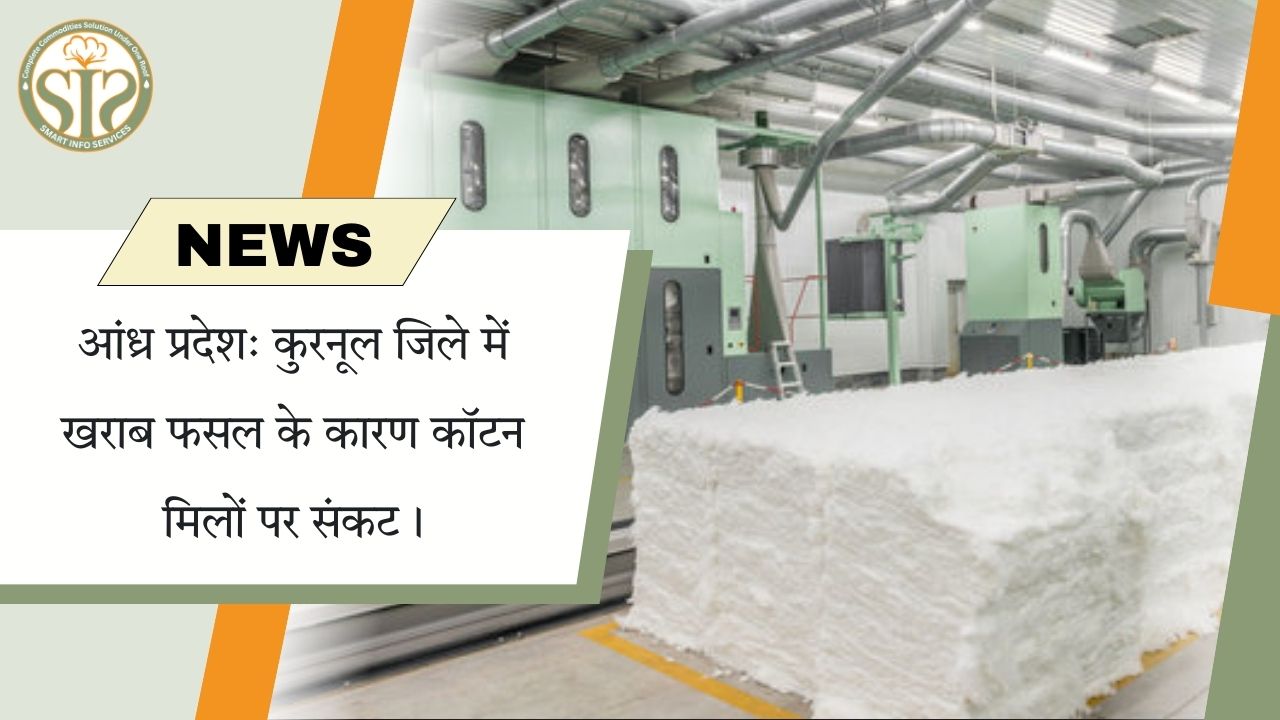 कुरनूल की खराब फसल, कॉटन उद्योग पर गहरा असर