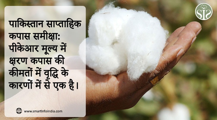 *पाकिस्तान साप्ताहिक कपास समीक्षा: पीकेआर मूल्य में क्षरण कपास की कीमतों में वृद्धि के कारणों में से एक है।*