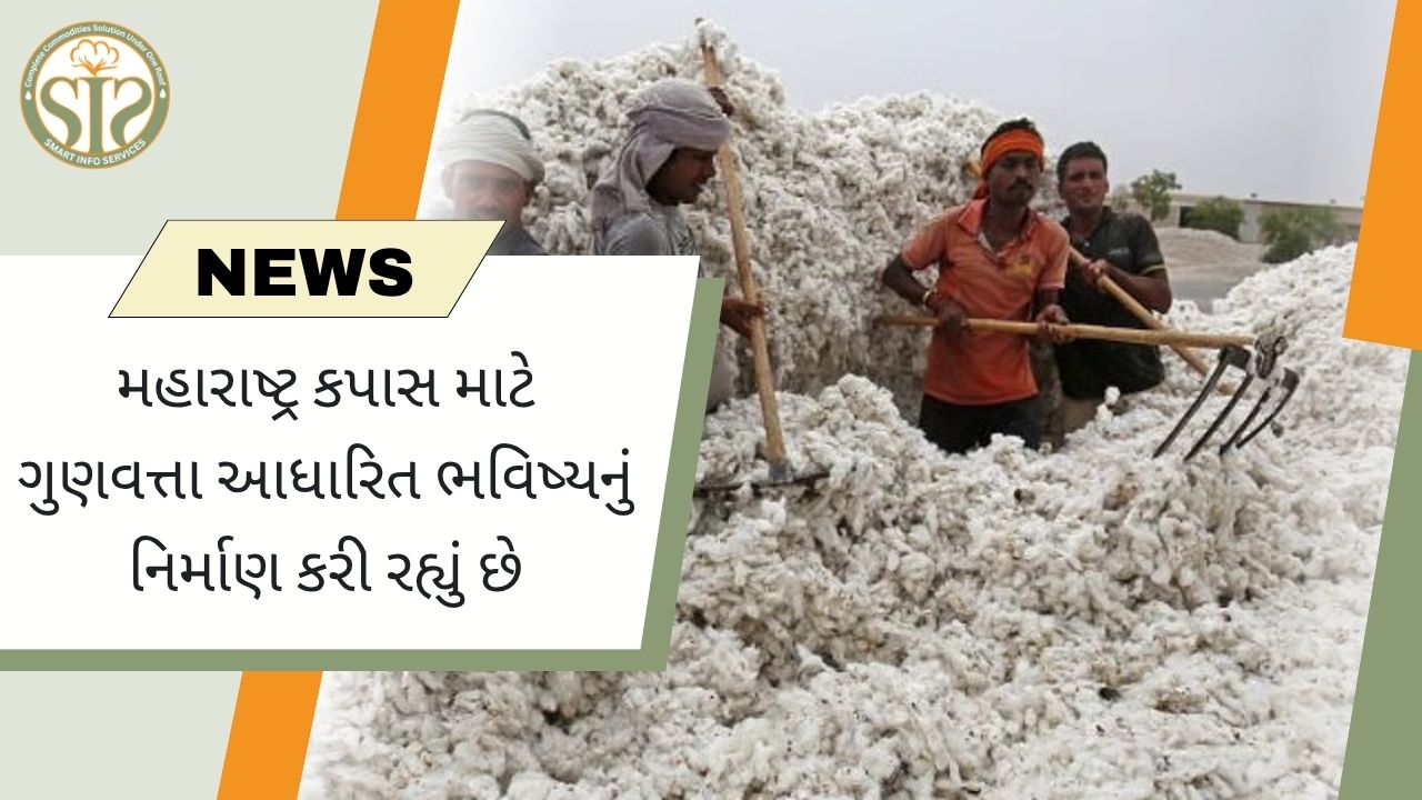 મહારાષ્ટ્ર: ગુણવત્તા આધારિત કપાસ નીતિ