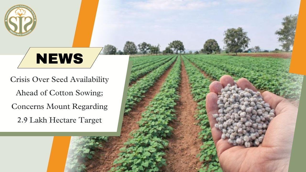 Seed Shortage Ahead of Cotton Sowing; Target of 2.9 Lakh Hectares at Risk