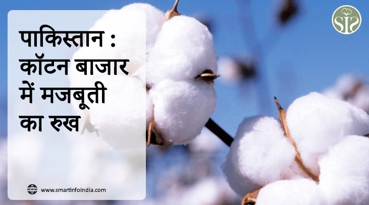 पाकिस्तान: कपास बाजार में मजबूत रुख