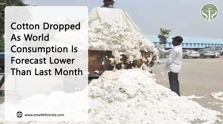 Cotton Dropped As World Consumption Is Forecast Lower Than Last Month