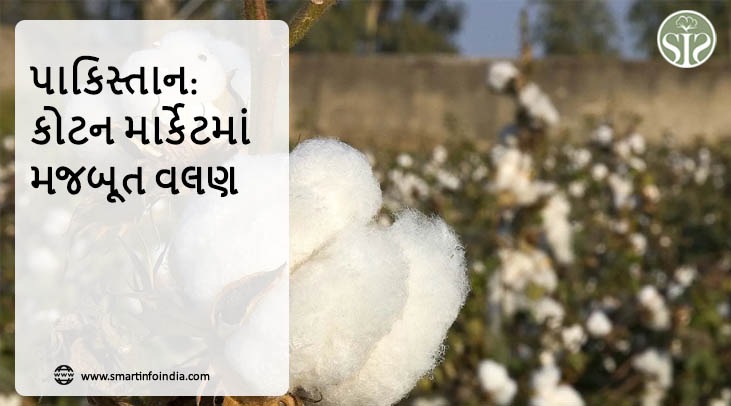 *પાકિસ્તાન: કોટન માર્કેટમાં મજબૂત વલણ*