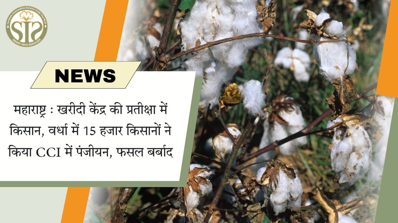 वर्धा: खरीदी केंद्रों की प्रतीक्षा में किसान, 15 हजार ने CCI में पंजीकरण