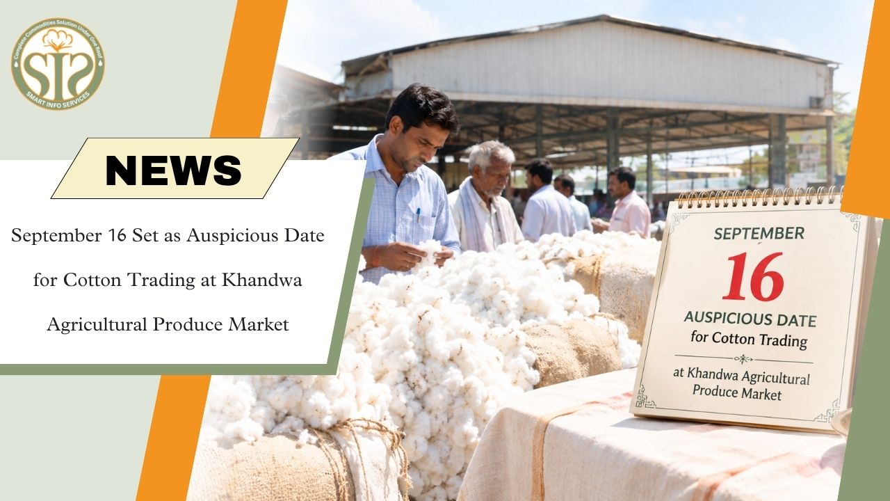 Khandwa Cotton Trading Starts September 16
