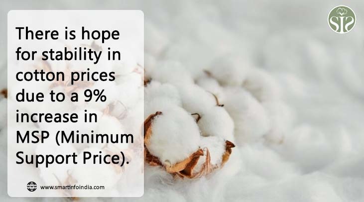 Cotton prices expected to stabilize due to 9% hike in MSP