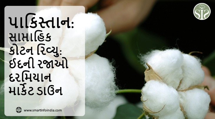 પાકિસ્તાન: સાપ્તાહિક કોટન રિવ્યુ: ઈદની રજાઓ દરમિયાન માર્કેટ ડાઉન