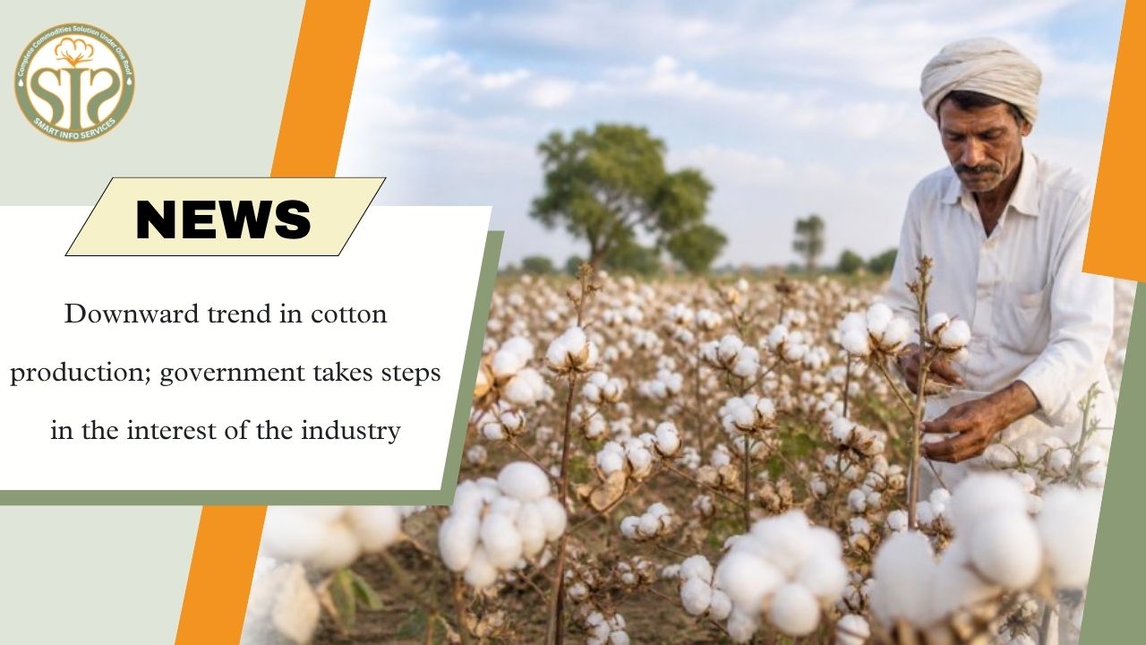 India Cotton Production Declines as Government Steps Up Support for Textile Industry