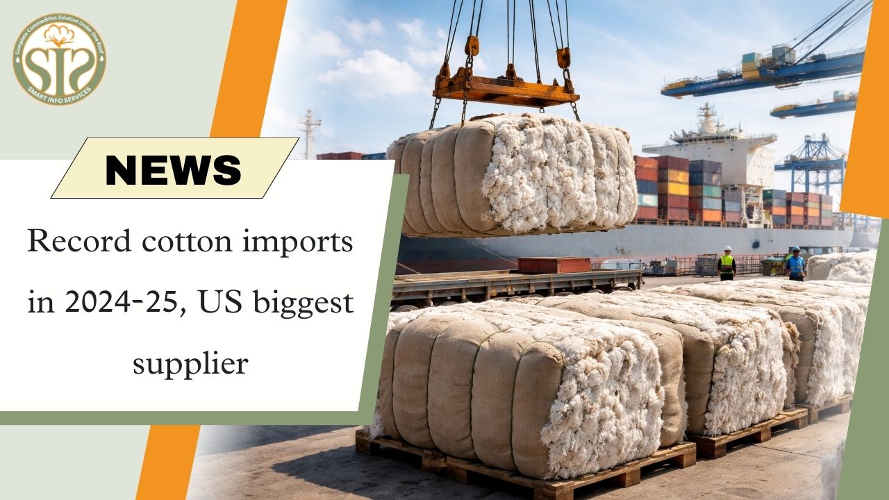 Record cotton imports in 2024-25, US top supplier