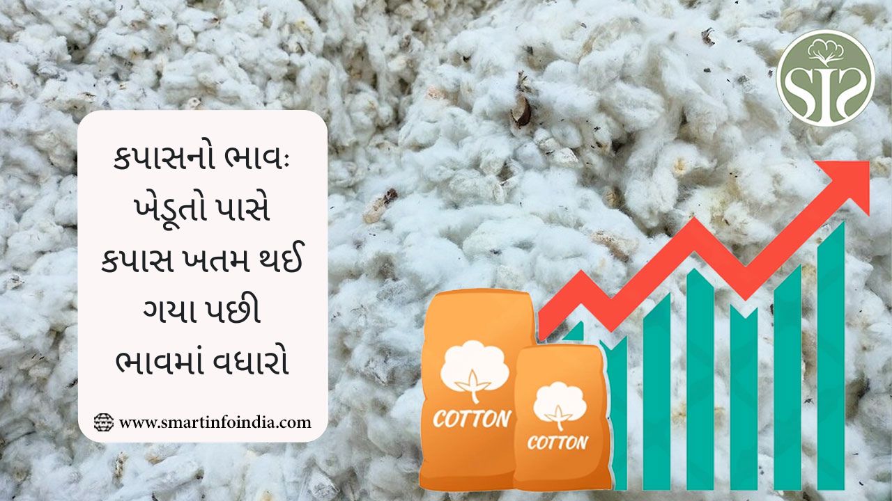ખેડૂતો પાસે કપાસ ખતમ થઈ ગયો, ભાવમાં વધારો