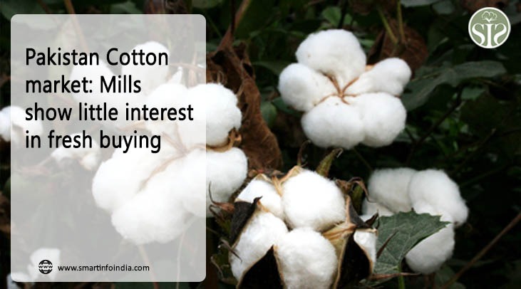 Pakistan Cotton market: Mills show little interest in fresh buying
