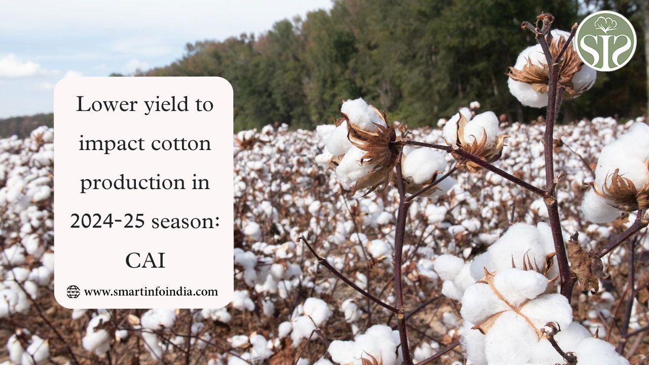 Lower yield to impact cotton production in 2024-25 season: CAI