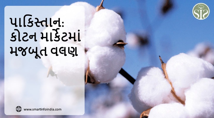 પાકિસ્તાન: કોટન માર્કેટમાં મજબૂત વલણ ચાલુ છે
