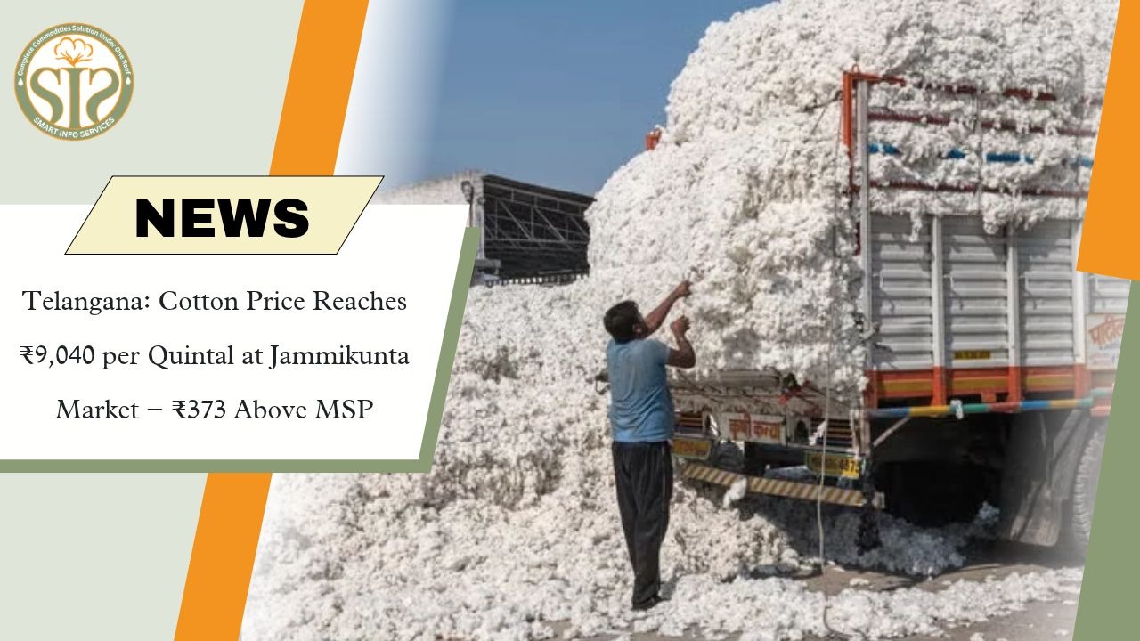 Jammikunta Cotton Hits ₹9,040