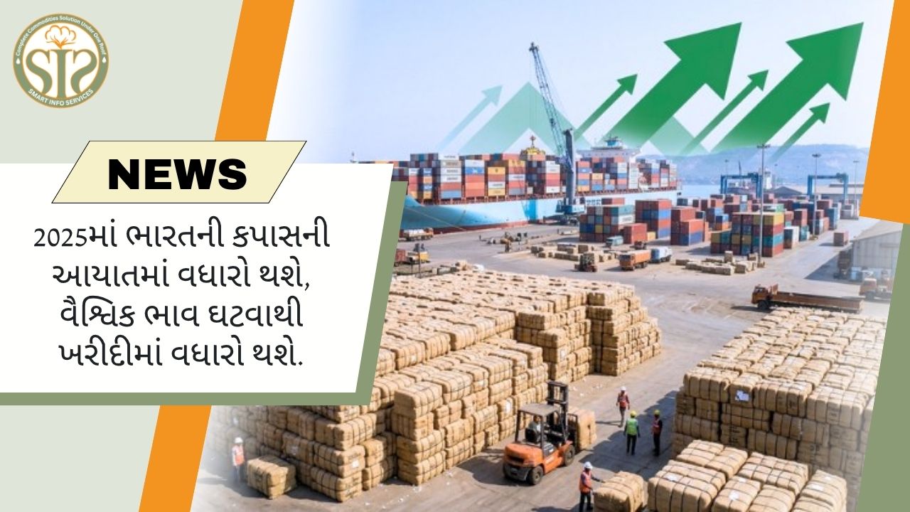 કપાસની આયાત વધી, ભાવ ઘટવાને કારણે ખરીદી તેજ થઈ