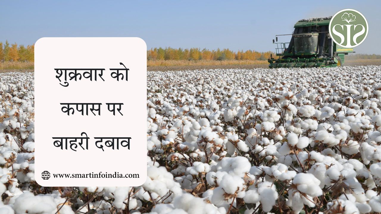 कपास शुक्रवार को दबाव के बाहर का चेहरा