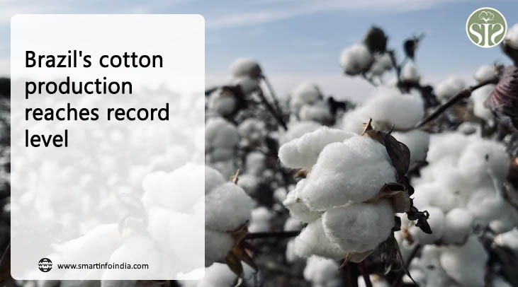 Brazil's cotton production reaches record level