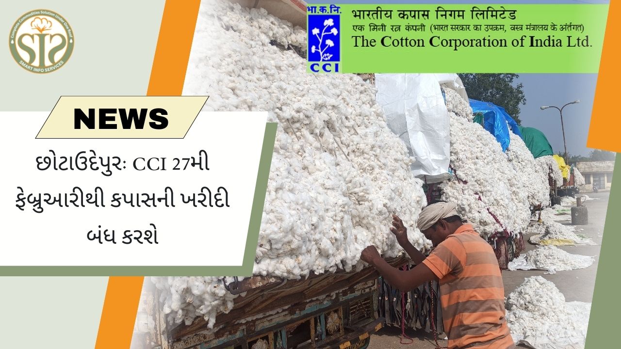 છોટાઉદેપુર: CCI 27 ફેબ્રુઆરીથી કપાસની ખરીદી બંધ કરશે