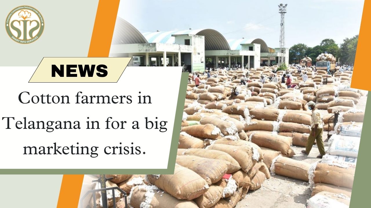 Telangana cotton farmers face marketing crisis
