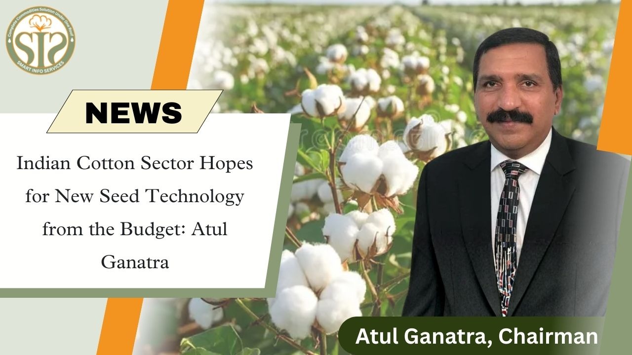 Cotton sector hopes for new seed technology