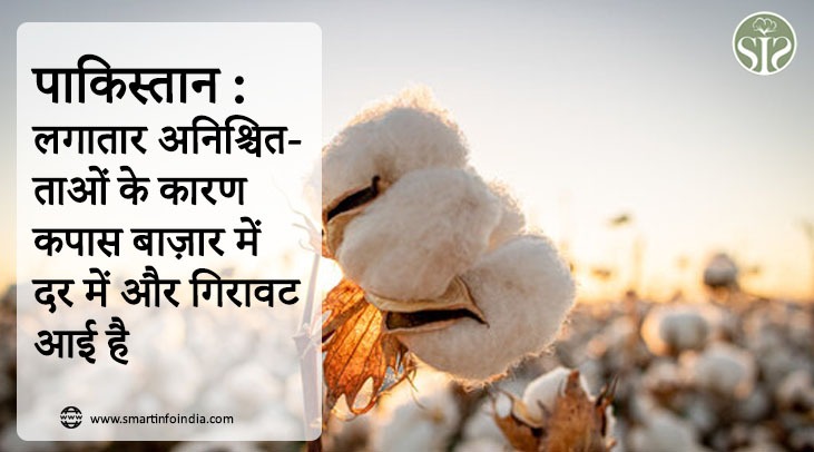 *पाकिस्तान : लगातार अनिश्चितताओं के कारण कपास बाज़ार में दर में और गिरावट आई है*