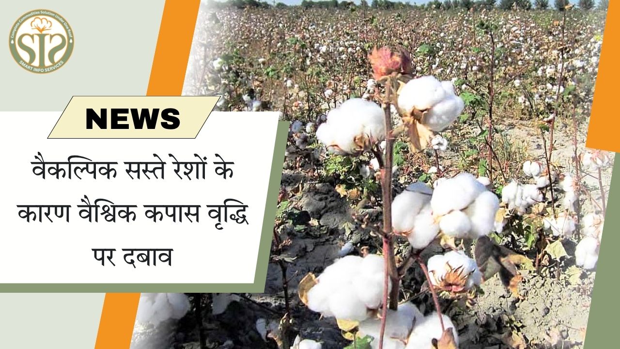 सस्ते रेशों से वैश्विक कपास पर दबाव