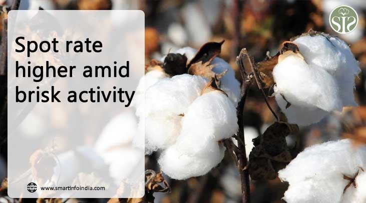 Spot rate higher amid brisk activity