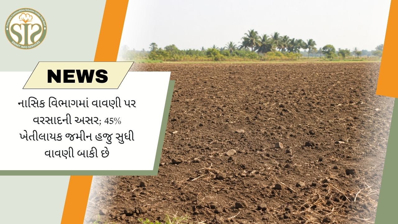 નબળા ચોમાસાથી નાશિકમાં ખરીફ વાવણી પ્રભાવિત, 45% ખેતીની જમીન હજુ બિનવાવેતર