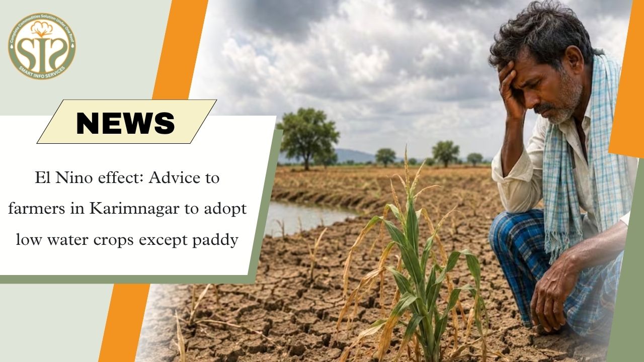 El Nino Impact: Karimnagar Farmers Advised to Choose Low-Water Crops