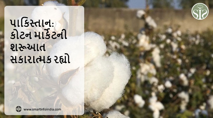 પાકિસ્તાન: કોટન માર્કેટઃ સપ્તાહની શરૂઆત સકારાત્મક નોંધ પર થઈ