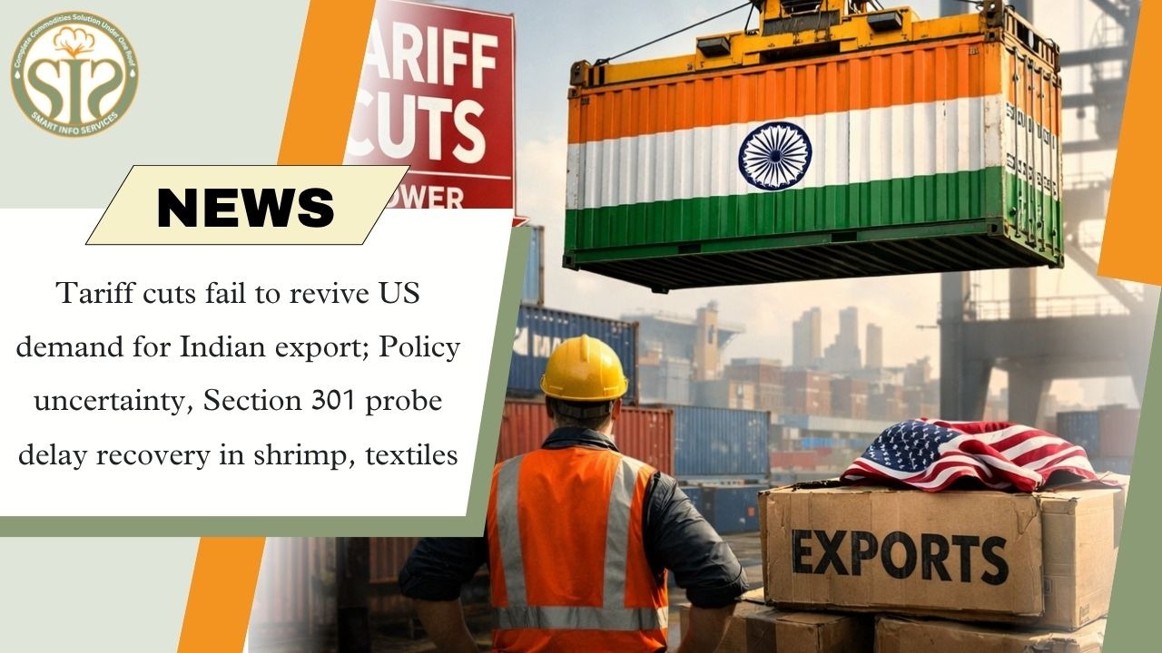 Shrimp and Textile Exports Hit by Sluggish US Demand and Policy Uncertainty