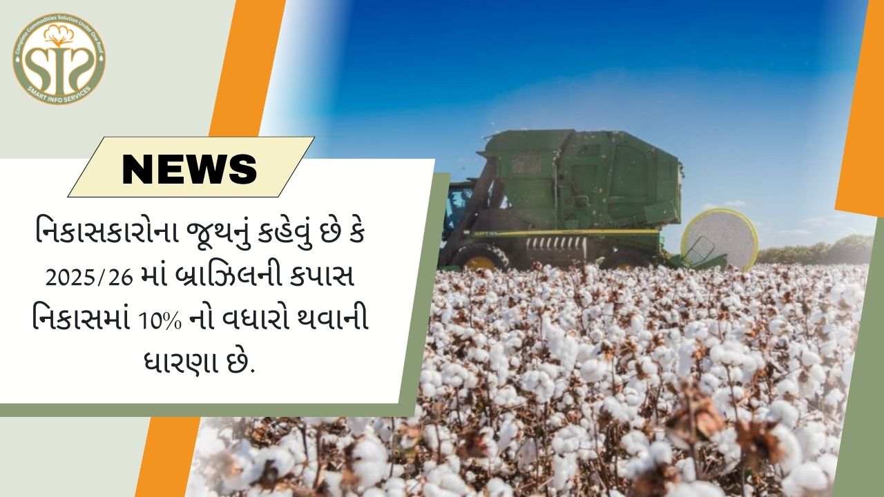 "૨૦૨૫/૨૬: બ્રાઝિલ કપાસની નિકાસ ૧૦% વધશે"