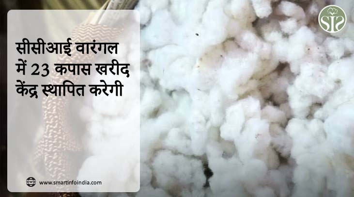 सीसीआई वारंगल में 23 कपास खरीद केंद्र स्थापित करेगी