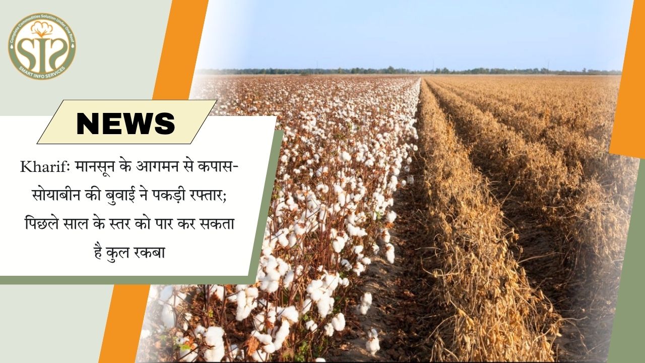 मानसून से कपास-सोयाबीन बुवाई तेज